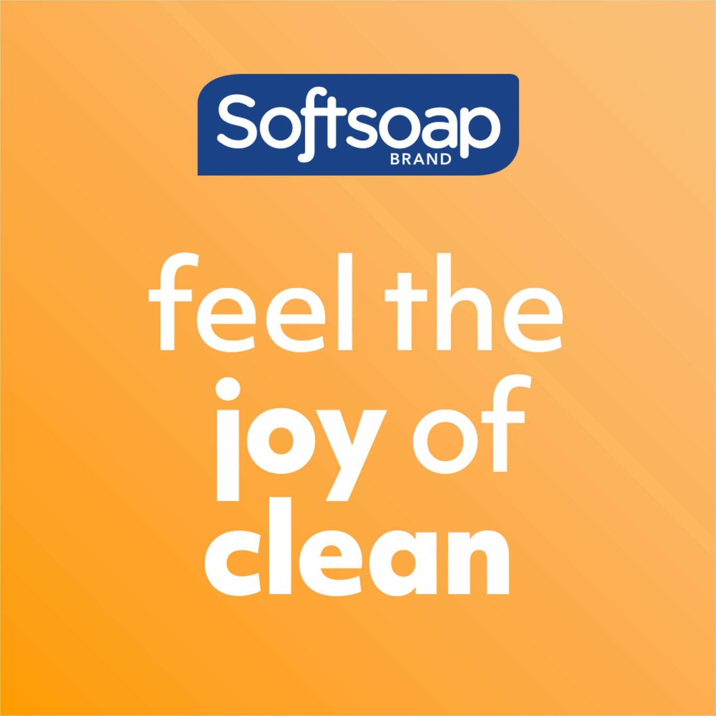 Softsoap Antibacterial Liquid Hand Soap (US07326A)