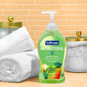 Softsoap Antibacterial Liquid Hand Soap (US07326A)