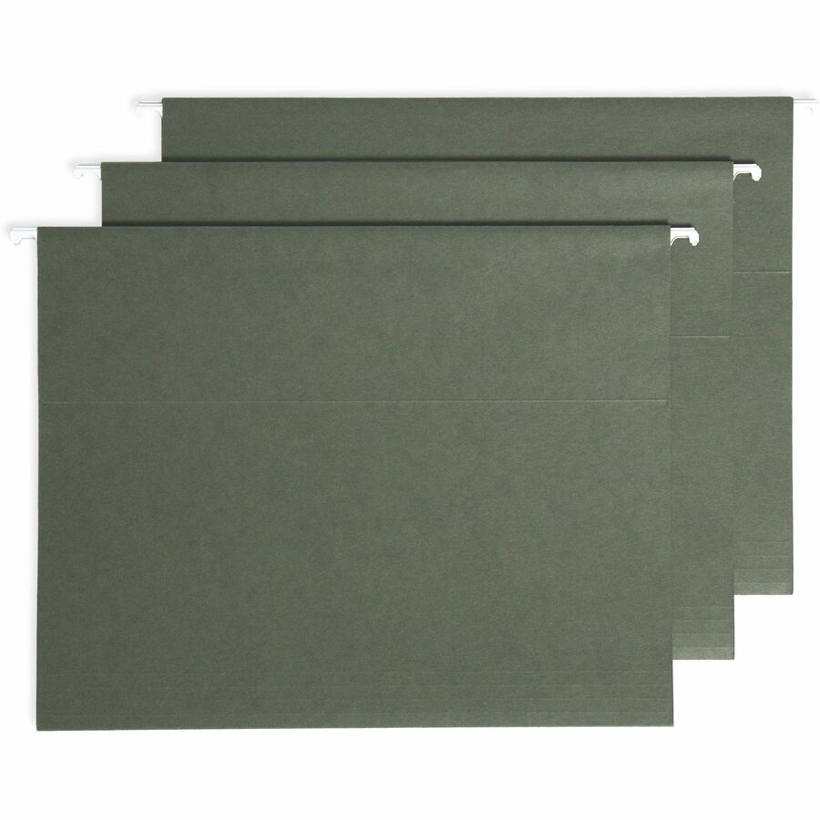  Filing System with 20 Letter Size Hanging File Folders, 24 ProTab 1/3-Cut Tab labels, and 1 eraser (64195)