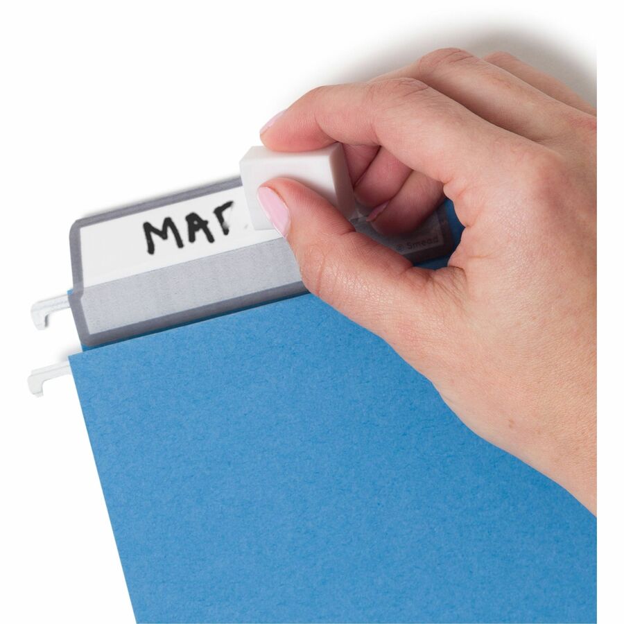  Filing System with 20 Letter Size Hanging File Folders, 24 ProTab 1/3-Cut Tab labels, and 1 eraser (64210)