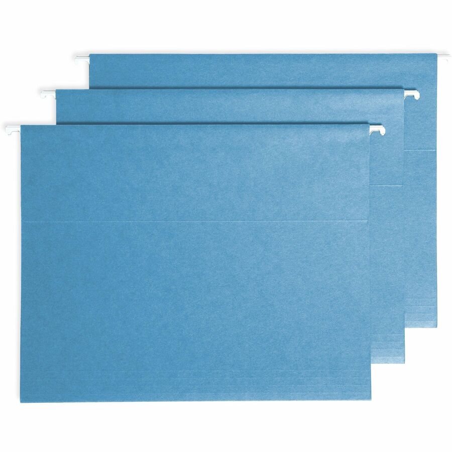  Filing System with 20 Letter Size Hanging File Folders, 24 ProTab 1/3-Cut Tab labels, and 1 eraser (64210)