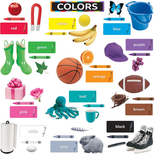 Trend Colors All Around Us Learning Set (T19005)