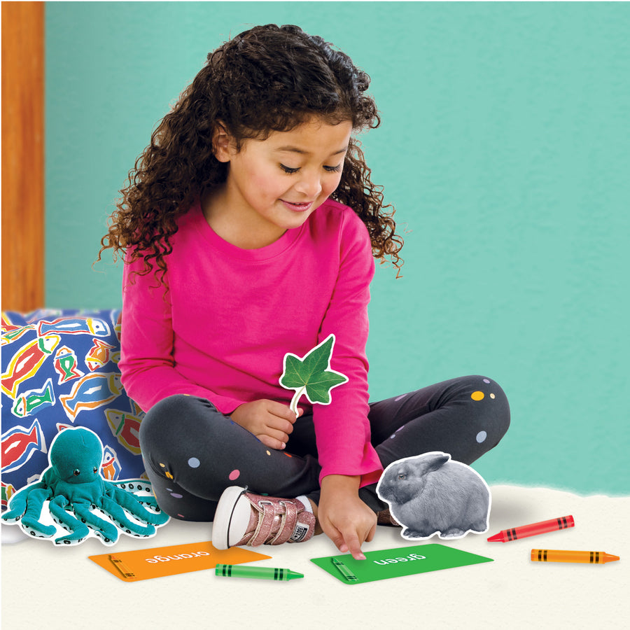 Trend Colors All Around Us Learning Set (T19005)