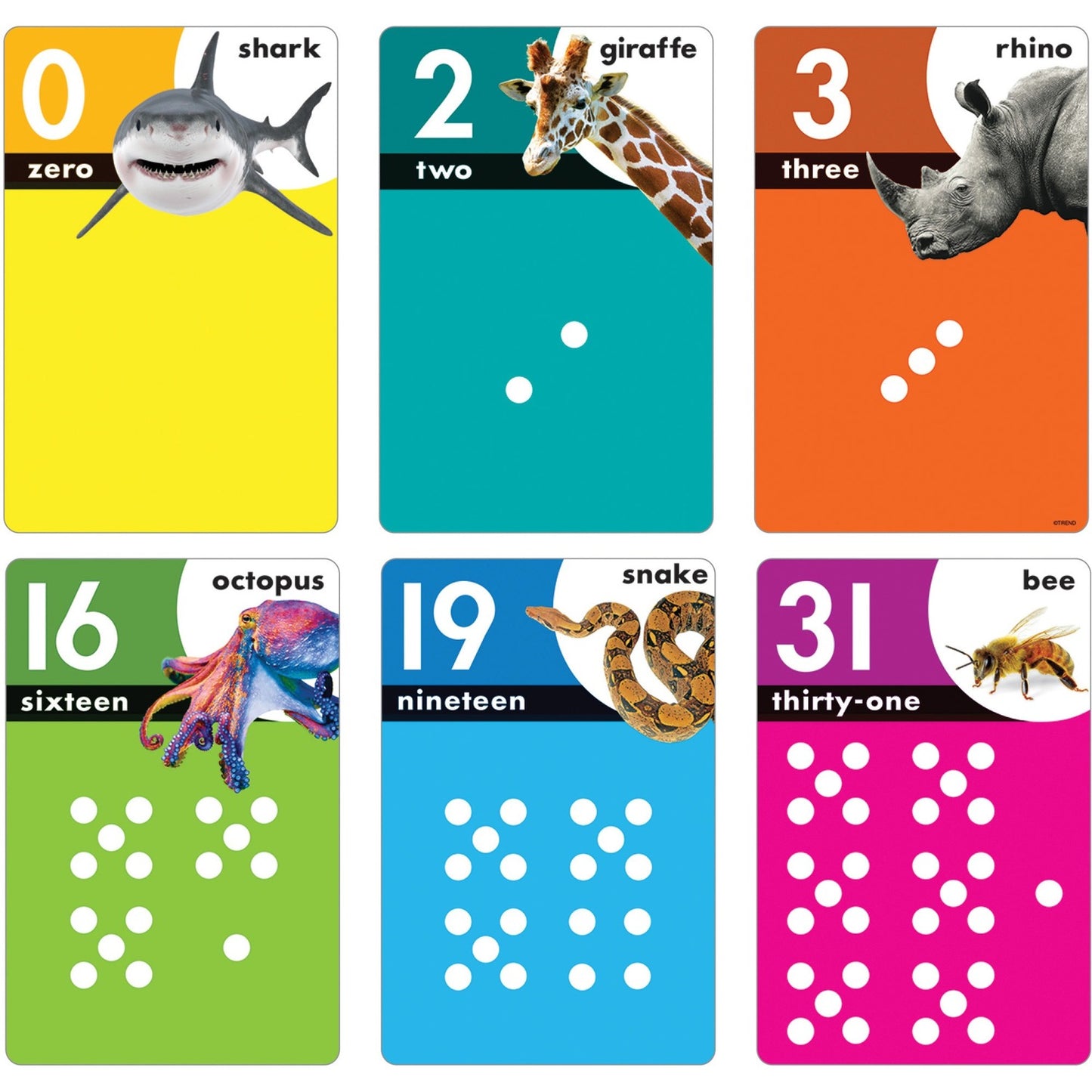 Trend Animals Count 0-31 Learning Set with Numbered Counting Cards (T19008)