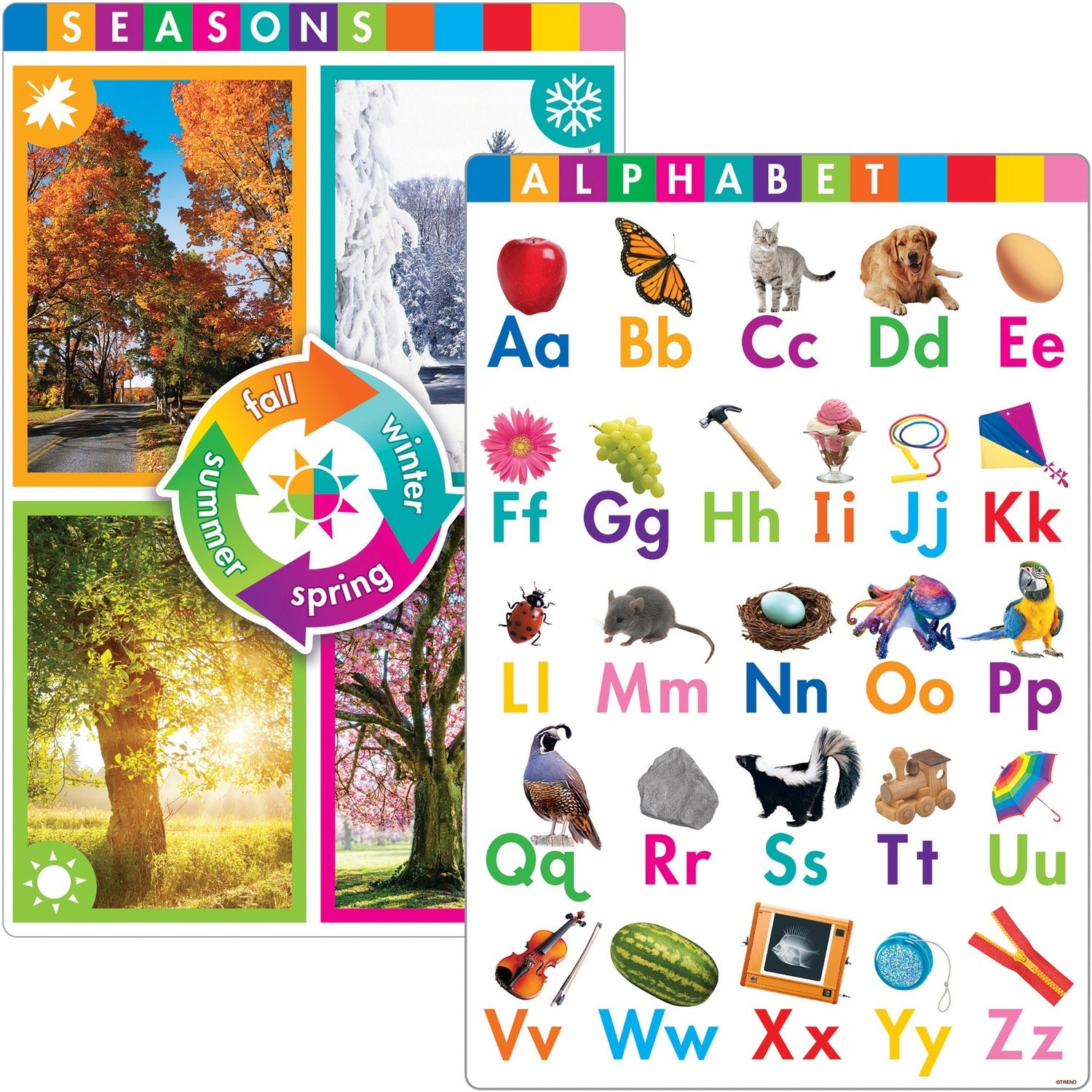 Trend Early Fundamental Skills Learning Posters (T19010)