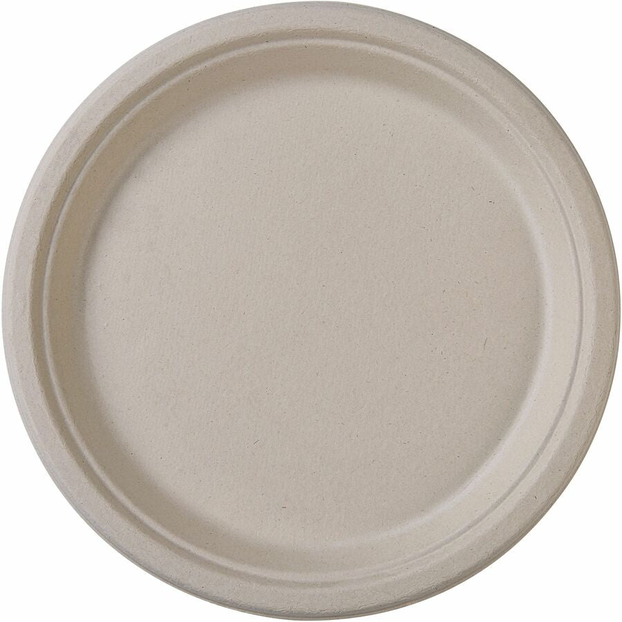 Genuine Joe 10" Compostable Plates (10232)