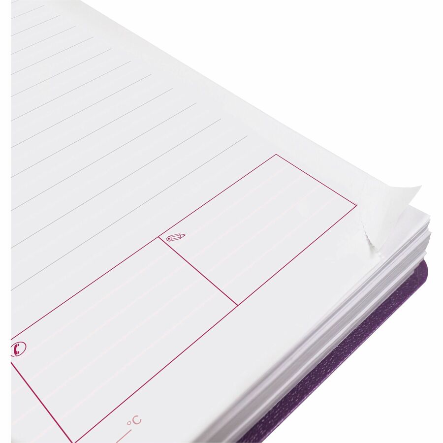 Brownline DuraFlex Daily Appointment Planner (CB634VPUR)