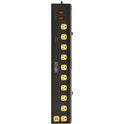 Tripp Lite by Eaton Protect It! 10-Outlet Surge Protector with Swivel Light Bars - 5-15R Outlets, 2 USB Ports, 6 ft. (1.8 m) Cord, 1350 Joules, Black (TLP1006USB)