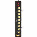 Tripp Lite by Eaton Protect It! 10-Outlet Surge Protector with Swivel Light Bars - 5-15R Outlets, 2 USB Ports, 6 ft. (1.8 m) Cord, 1350 Joules, Black (TLP1006USB)