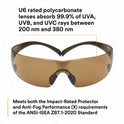 3M SecureFit Protective Eyewear (SF405SGAFBCT)