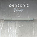 Pentonic Frosted Barrel Ballpoint Pens (PEN13086)