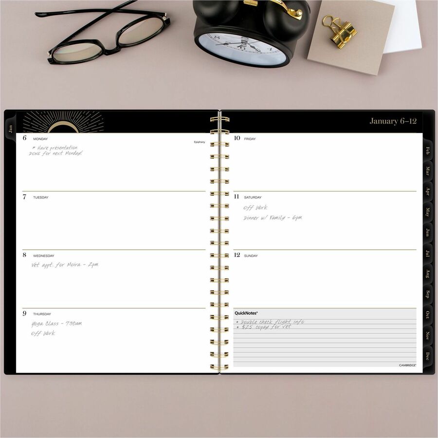 At-A-Glance Radiate Weekly/Monthly Planner (1725200)