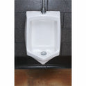 Fresh Products Enzymatic Urinal Block (TBS72CH)