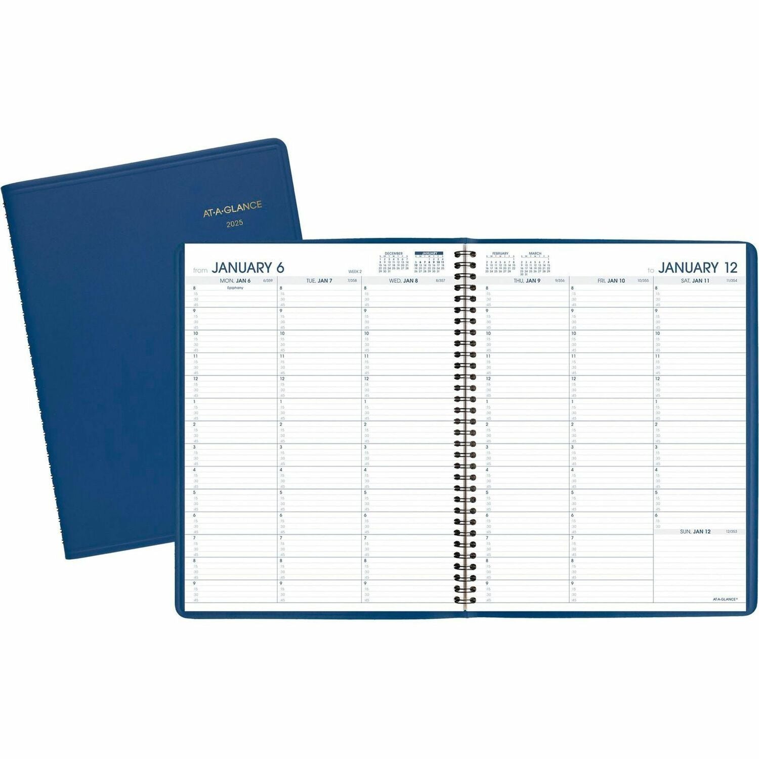 At-A-Glance Fashion Appointment Book Planner (7094020)