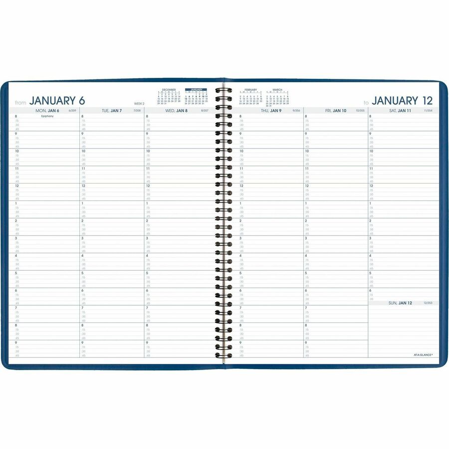 At-A-Glance Fashion Appointment Book Planner (7094020)