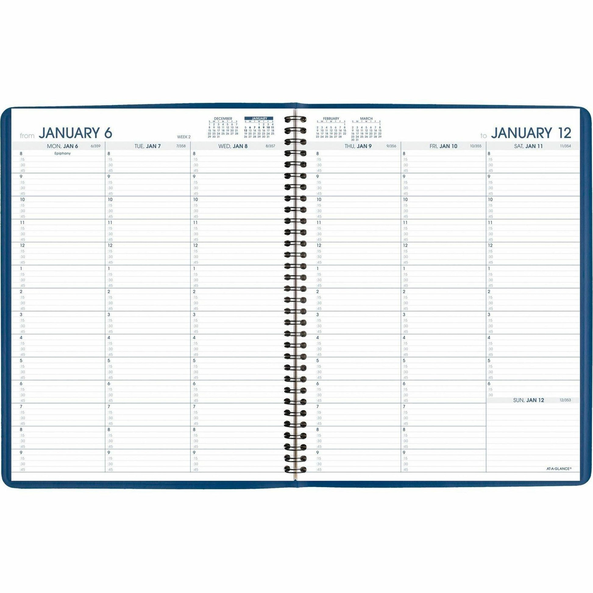 At-A-Glance Fashion Appointment Book Planner (7094020)