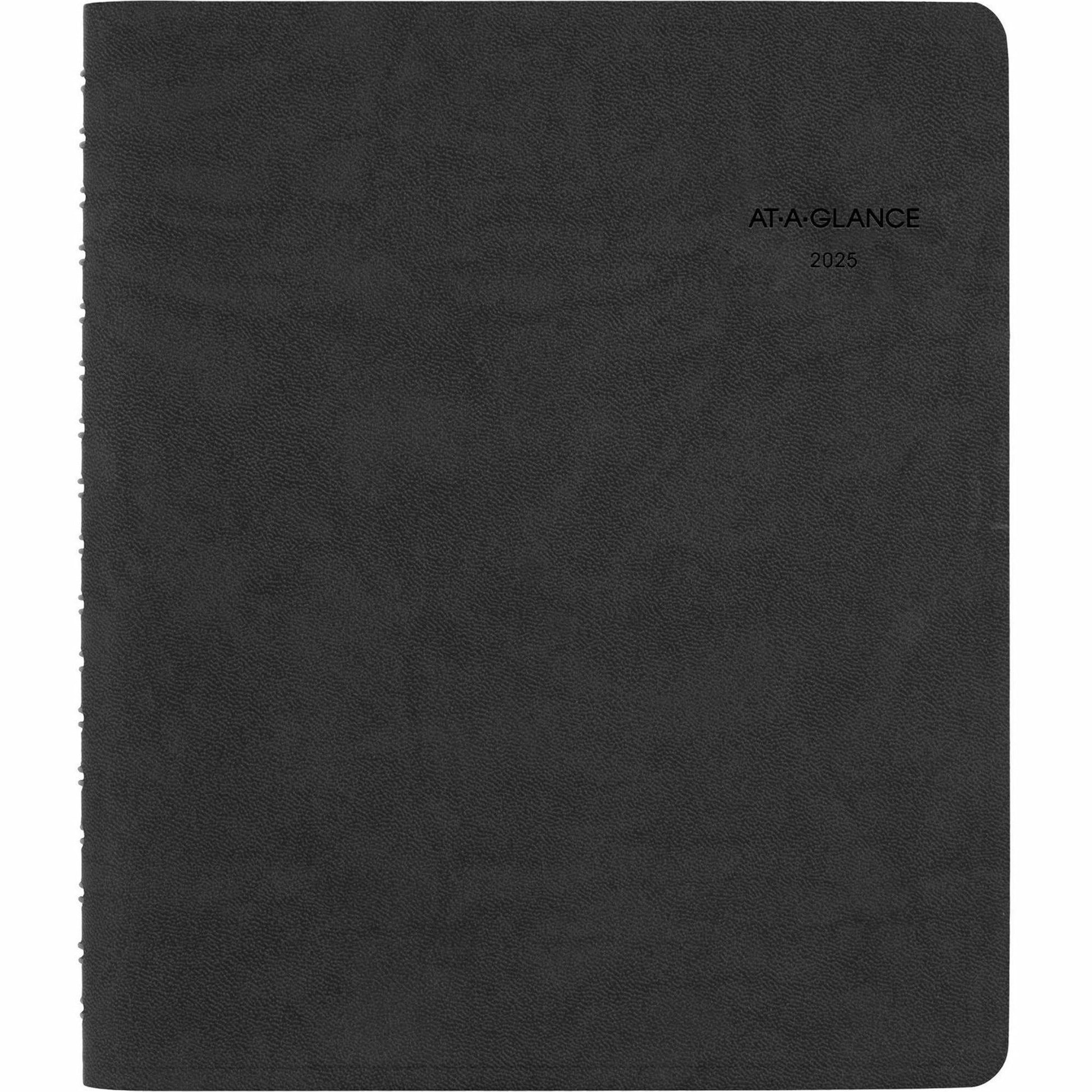At-A-Glance Action PlannerAppointment Book Planner (70EP0305)