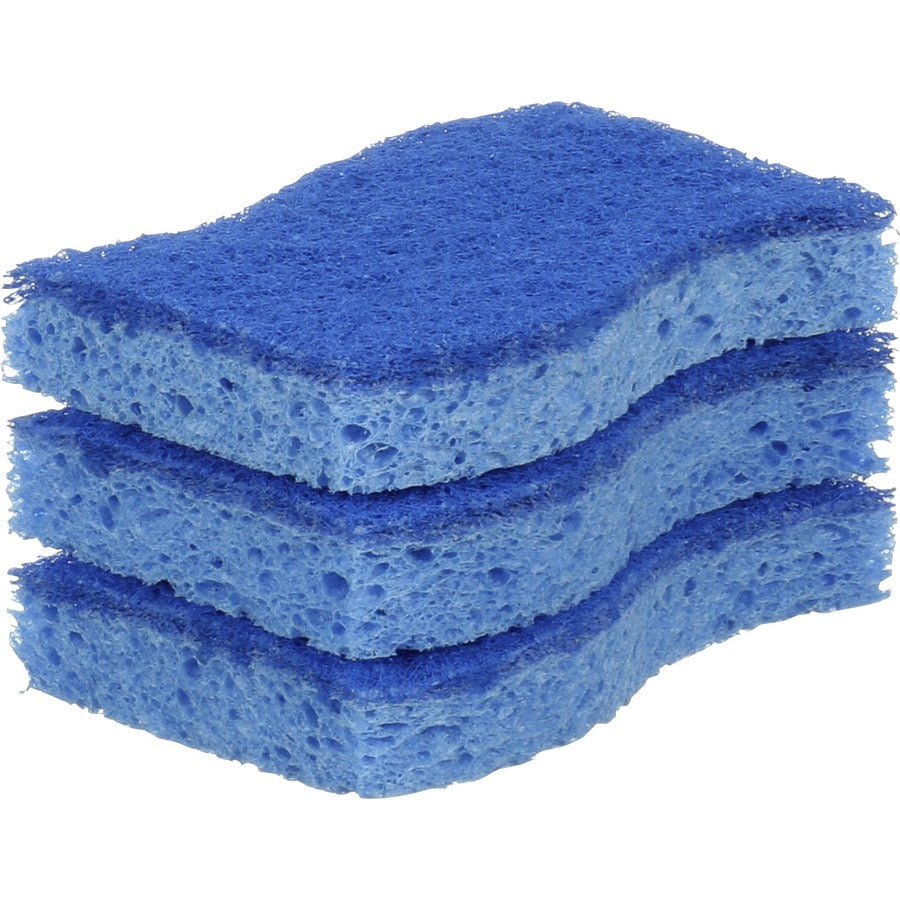 Scotch-Brite No Scratch Scrub Sponges (MP3)