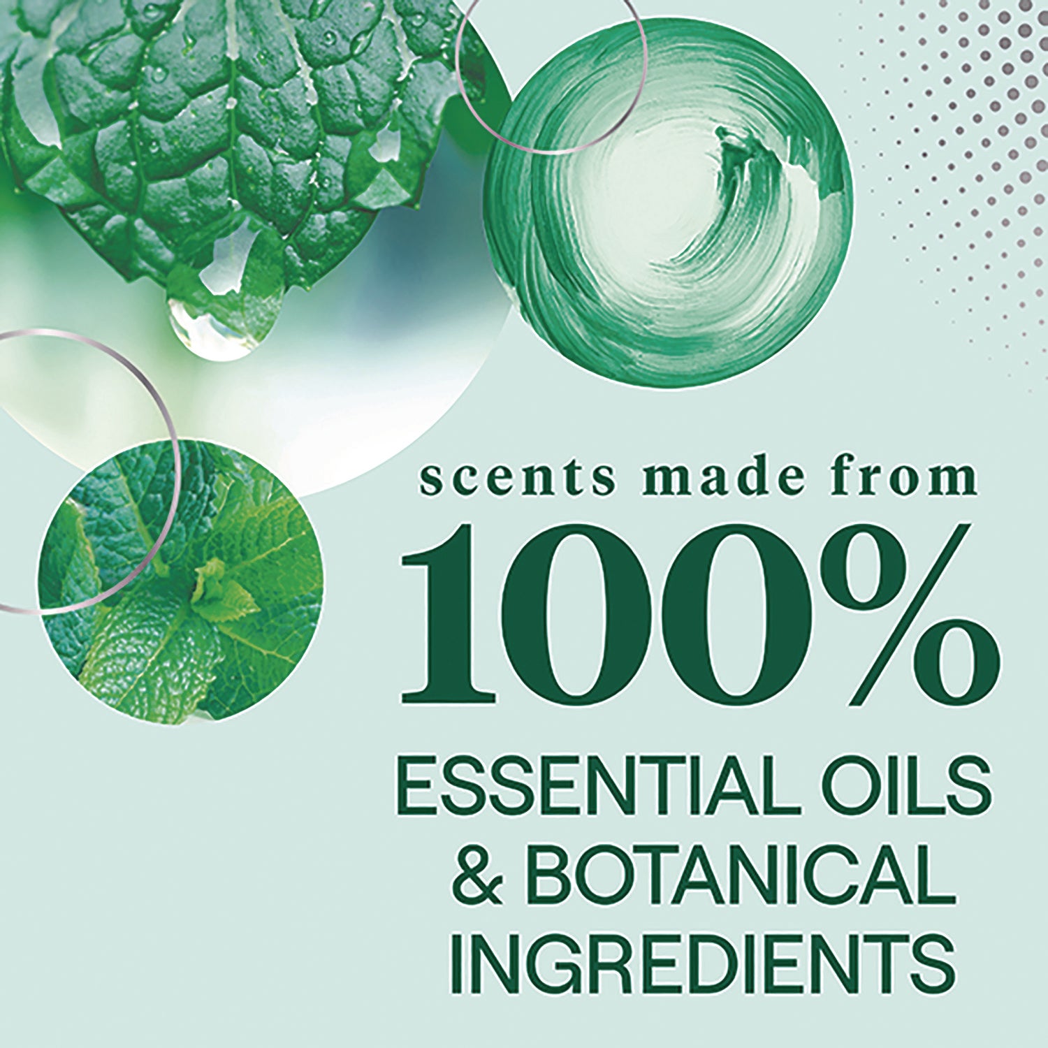 Seventh Generation Toilet Bowl Cleaner, Fresh Mint Scent, 24 oz Bottle, 4/Carton (45166CT)