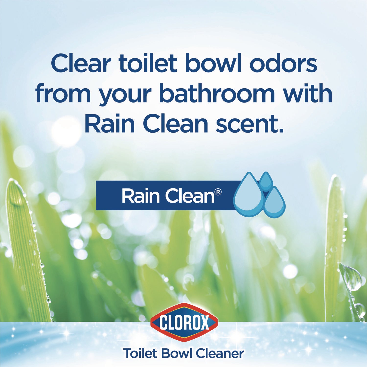 Clorox Disinfecting Toilet Bowl Cleaner with Bleach, Rain Clean Scent, 24 oz Bottle, 2/Pack (30924)