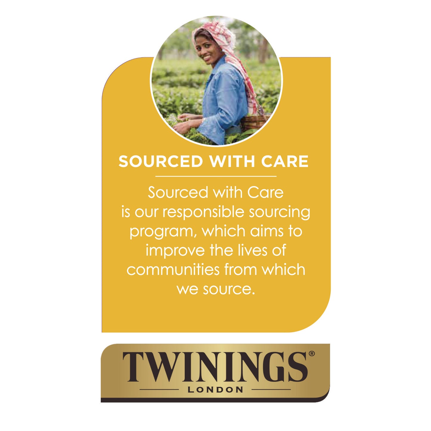 TWININGS Probiotics Lemon and Ginger Herbal Tea Bags, 0.05 oz, 18/Box (TNA95223)