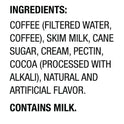 International Delight Iced Coffee, Mocha, 15 oz Can, 12/Carton (WWI07818)
