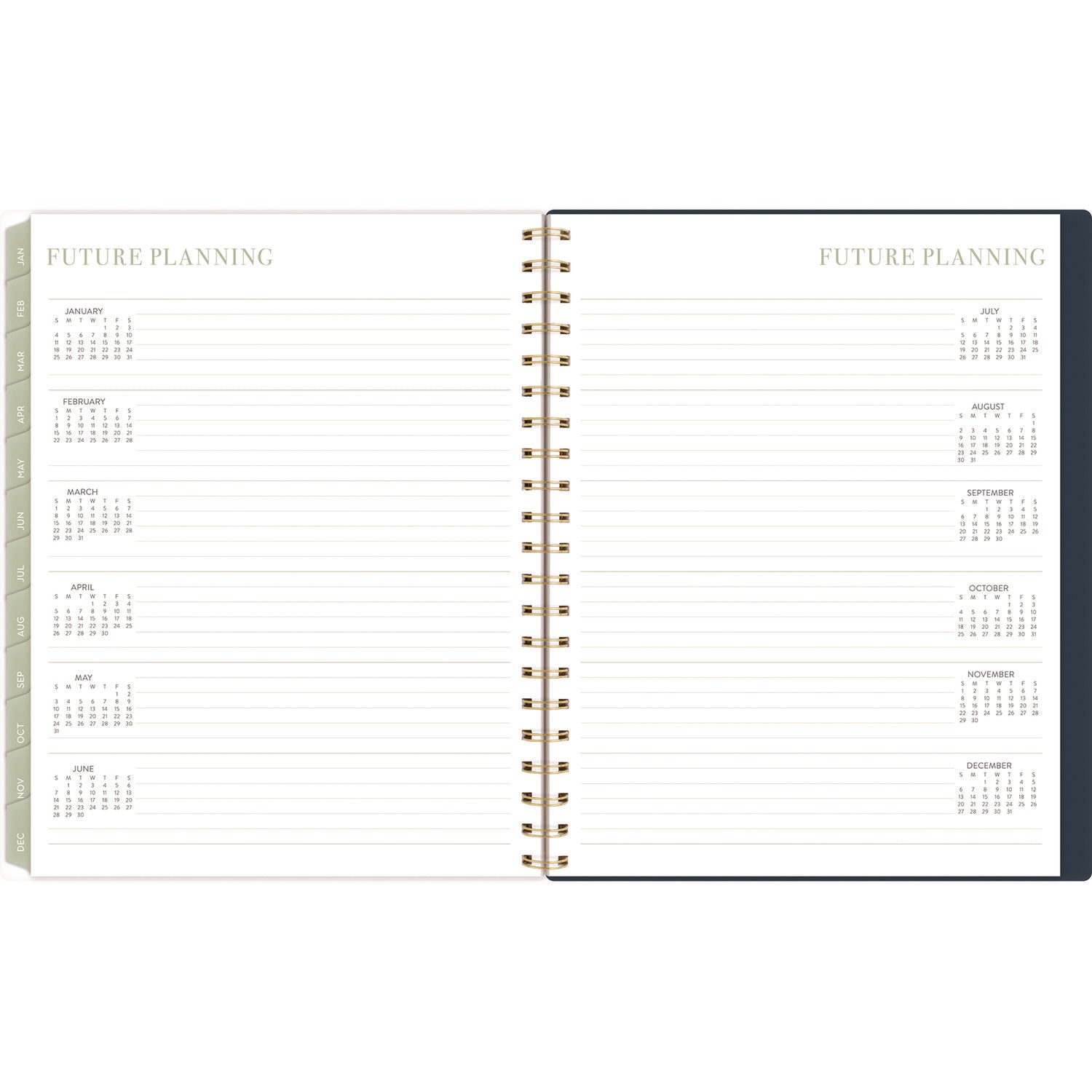 Cambridge Leah Bisch Weekly/Monthly Floral Planner, Floral Artwork, 11" x 9.25", Blue/White/Gold Cover, 12-Month (Jan to Dec): 2025 (LB34905)