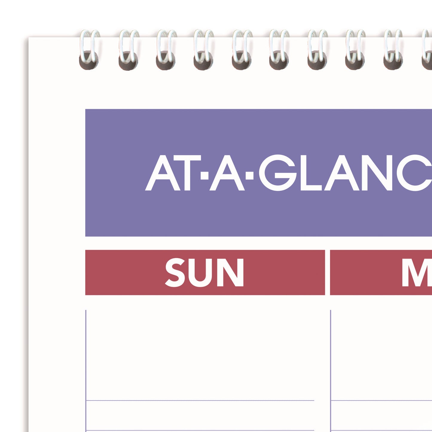 AT-A-GLANCE Erasable Wall Calendar, 12 x 17, White Sheets, 12-Month (Jan to Dec): 2025 (PMLM0228)