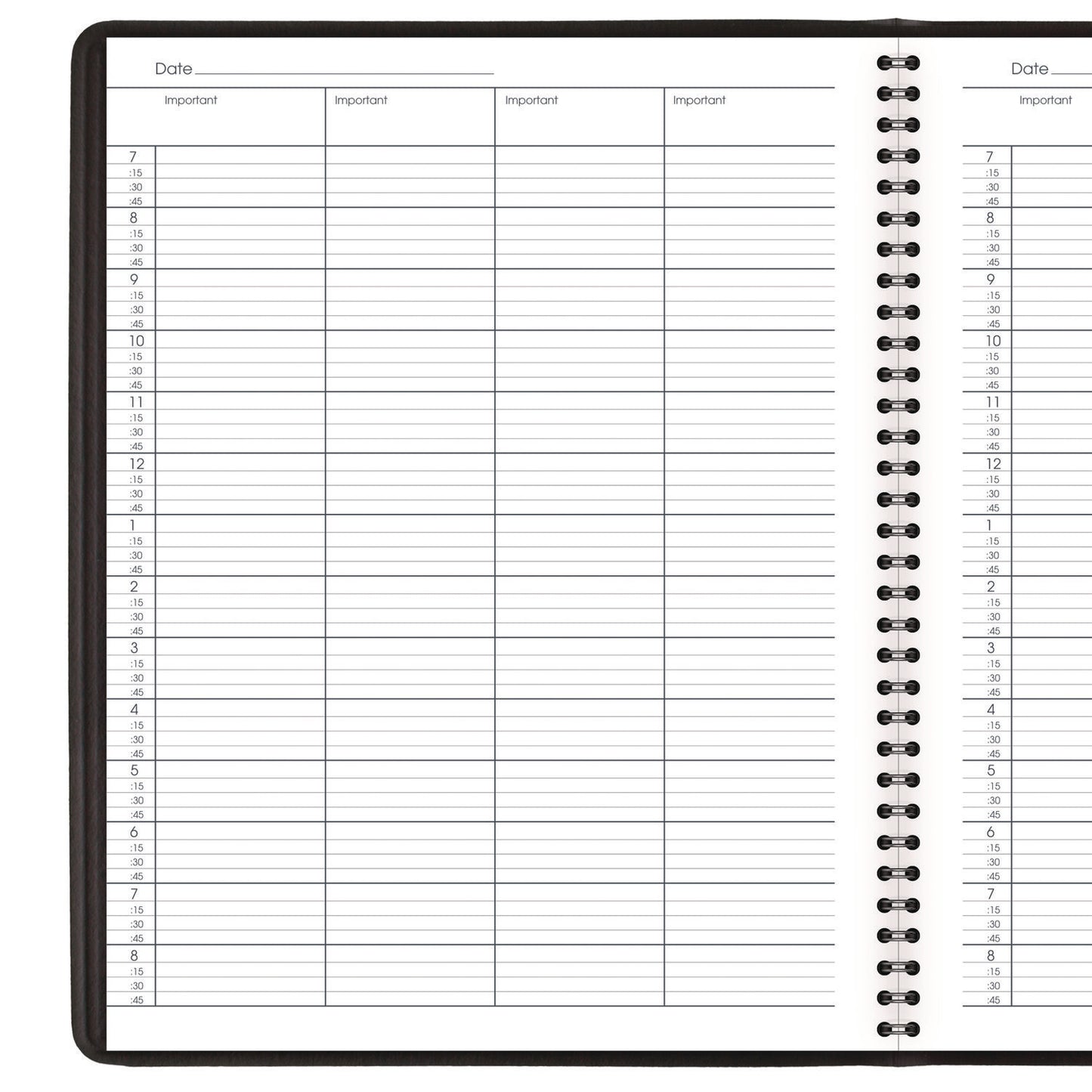 AT-A-GLANCE Four-Person Group Undated Daily Appointment Book, 10.88 x 8.5, Black Cover, 12-Month (Jan to Dec): Undated (8031005)