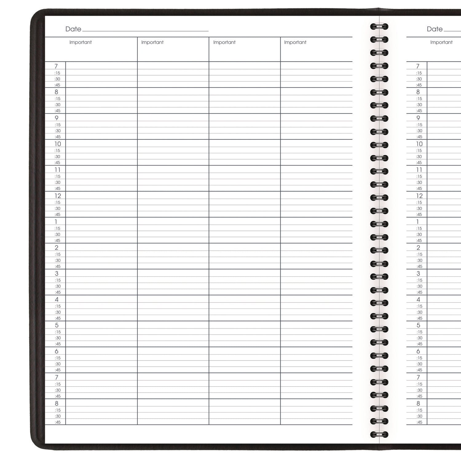 AT-A-GLANCE Four-Person Group Undated Daily Appointment Book, 10.88 x 8.5, Black Cover, 12-Month (Jan to Dec): Undated (8031005)