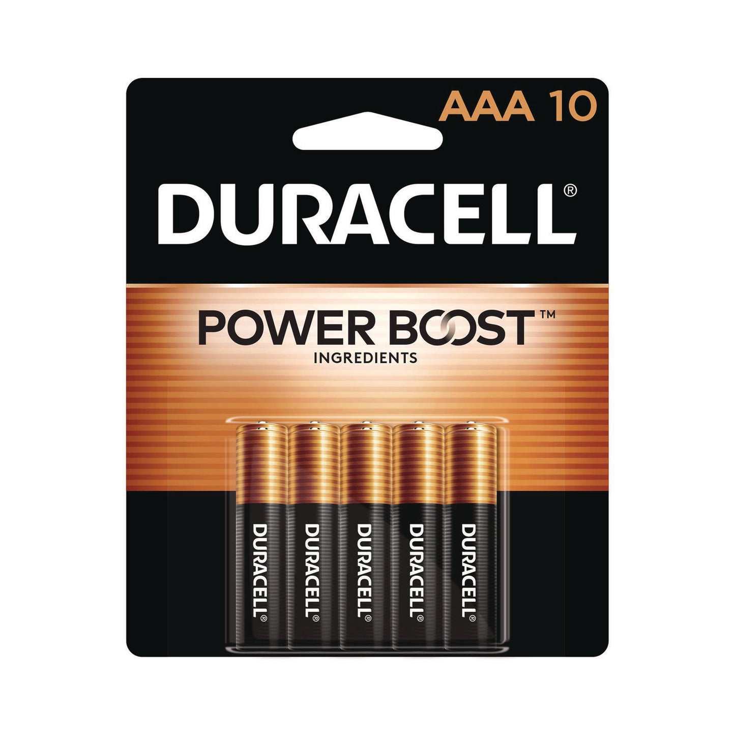 Duracell Power Boost CopperTop Alkaline AAA Batteries, 10/Pack (MN2400B10Z)