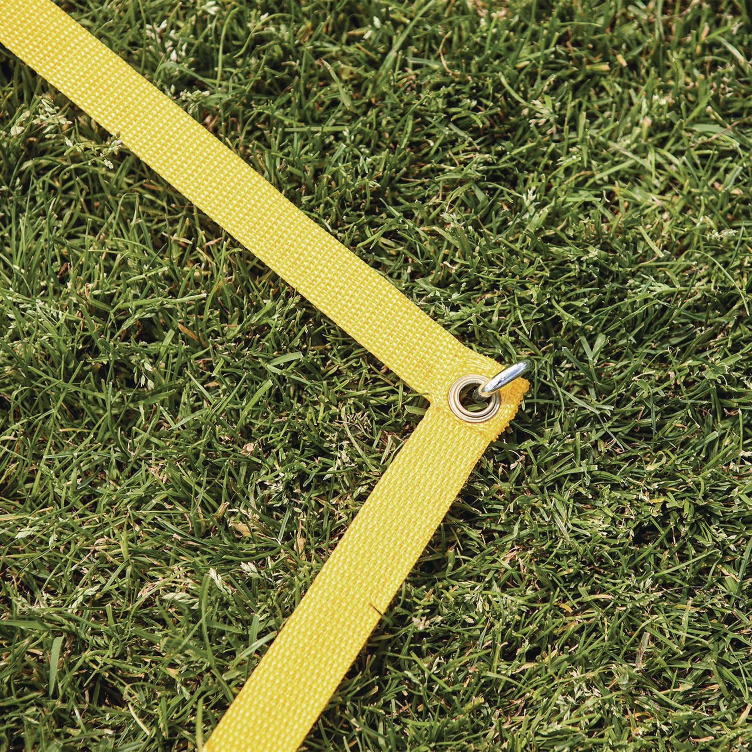 Champion Sports Deluxe Badminton Tournament Set, 28" x 11" (CG203)