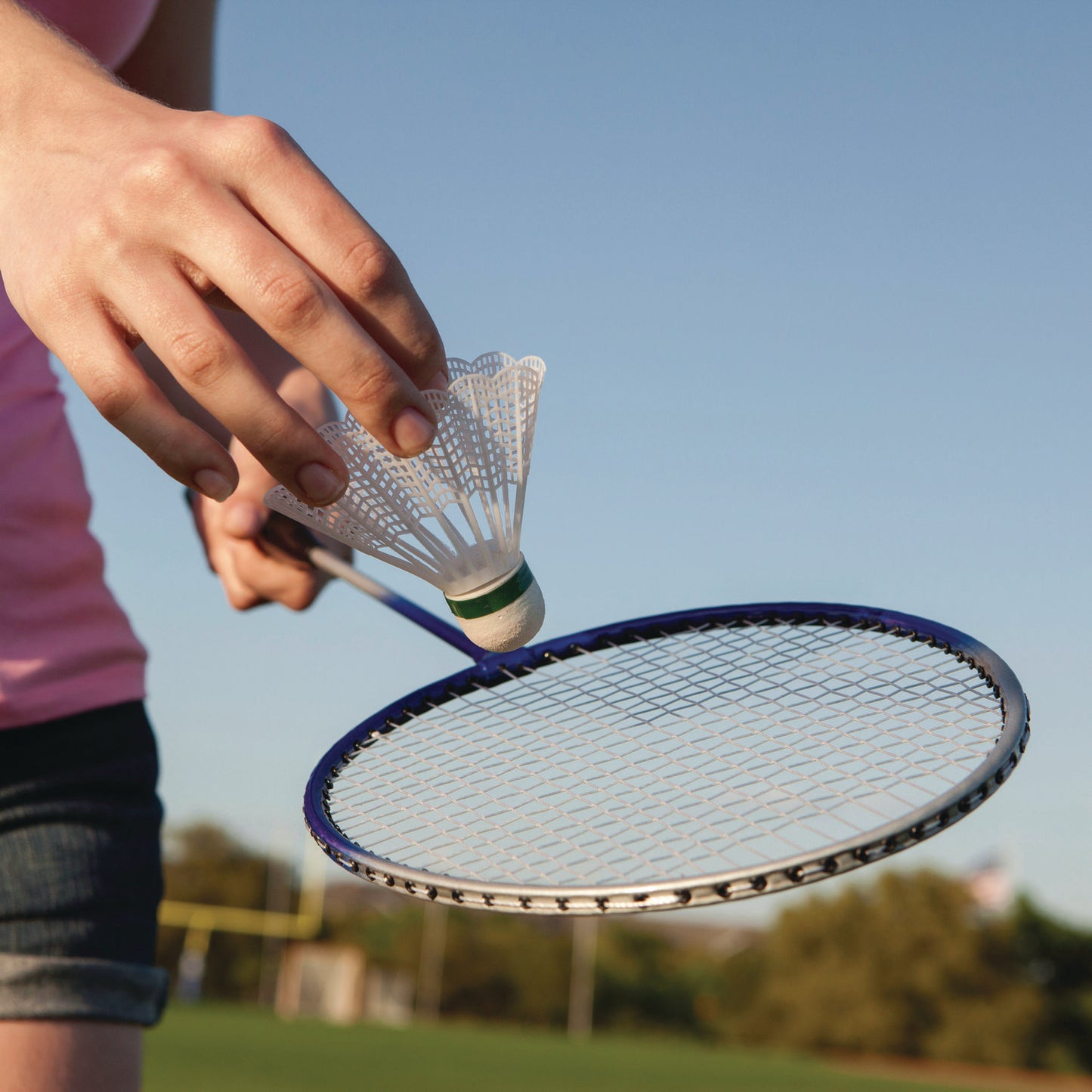 Champion Sports Deluxe Badminton Set, 20 ft Net with 4 Rackets, 2 Shuttlecocks (DBSET)