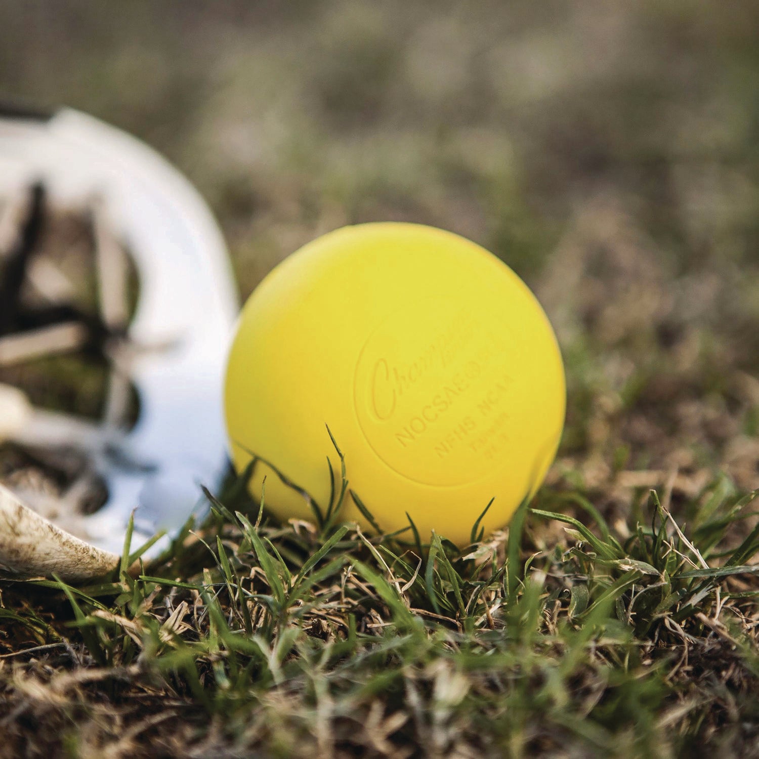 Champion Sports Lacrosse Balls in a Bucket, 11" x 11" Bucket with 36 Yellow Rubber Balls (LBYN36)