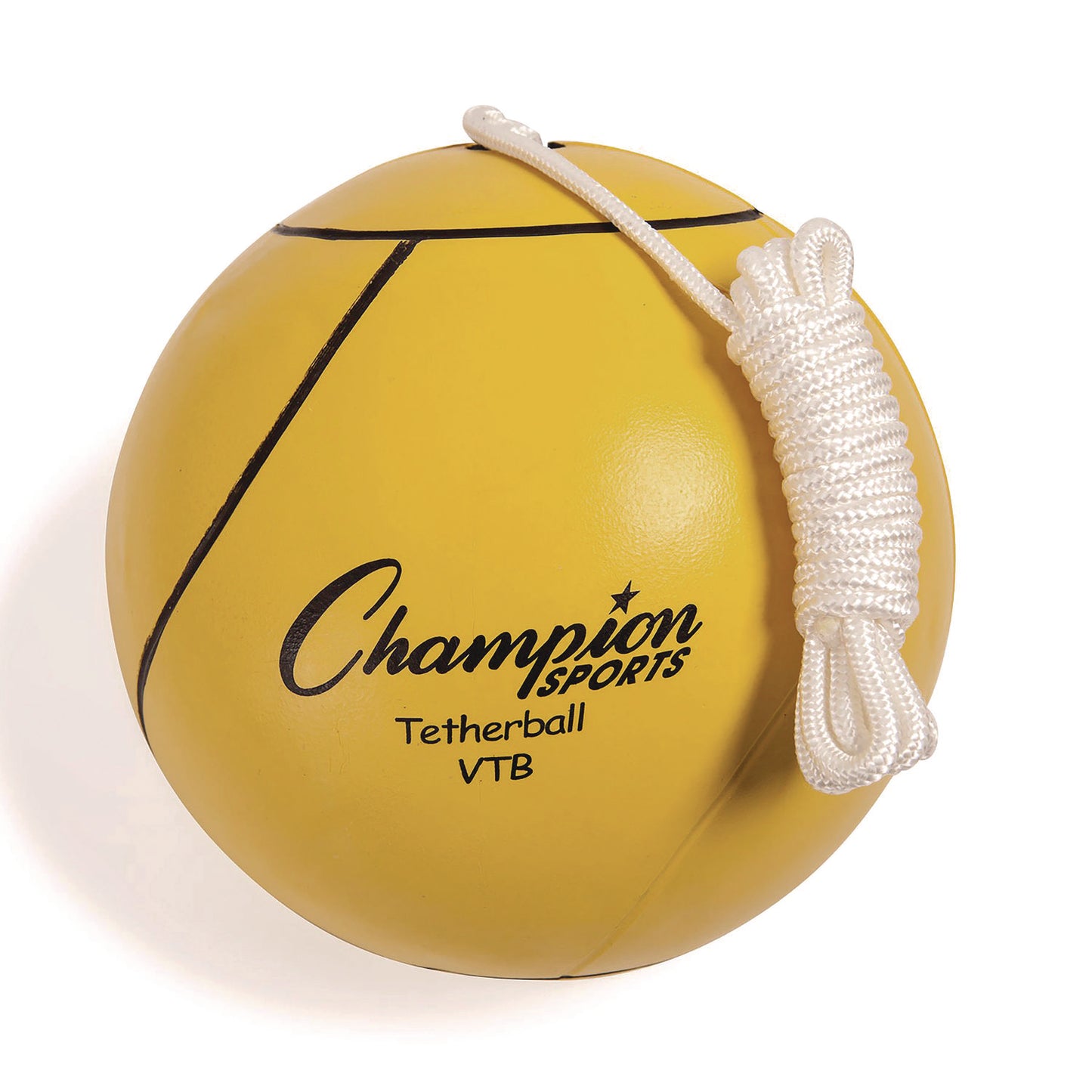 Champion Sports Deluxe Tether Ball Set, Tetherball/102" Cord/(4) 24" Telescoping Poles/Carry Bag/Pump with Needle (DTBSET)