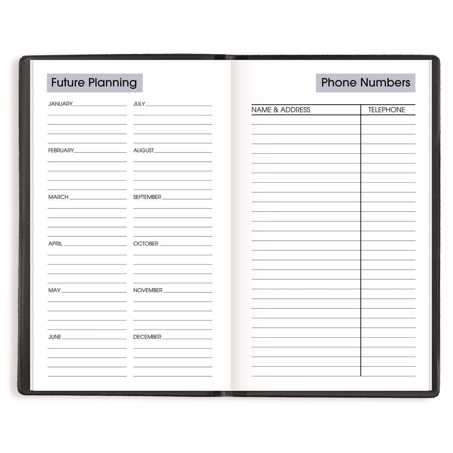 AT-A-GLANCE DayMinder Weekly Pocket Planner, 6 x 3.5, Black Cover, 12-Month (Jan to Dec): 2025 (SK4800)