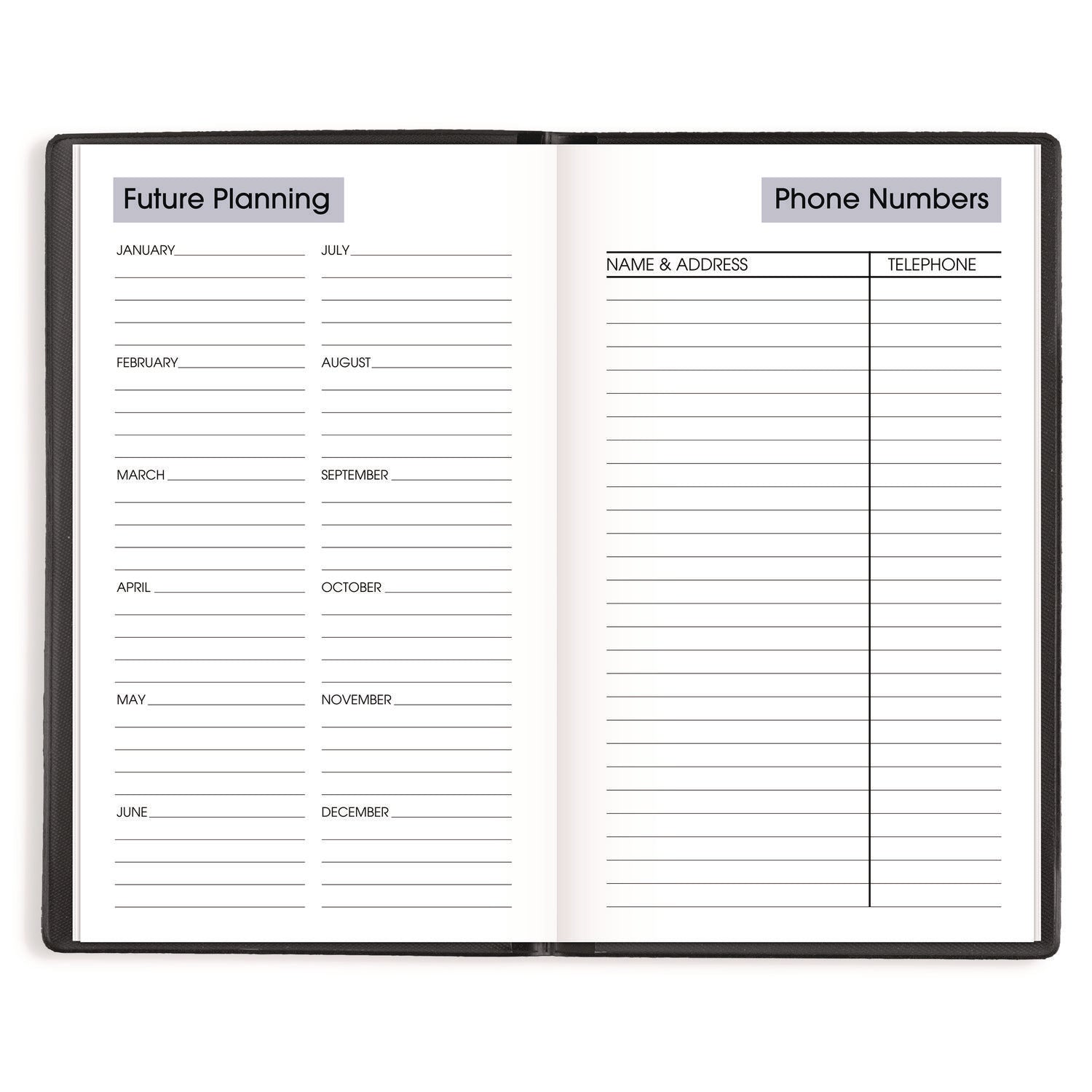 AT-A-GLANCE DayMinder Weekly Pocket Planner, 6 x 3.5, Black Cover, 12-Month (Jan to Dec): 2025 (SK4800)