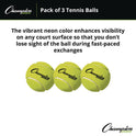 Champion Sports Tennis Balls, 2.5" Diameter, Yellow, 3/Pack (TB3)