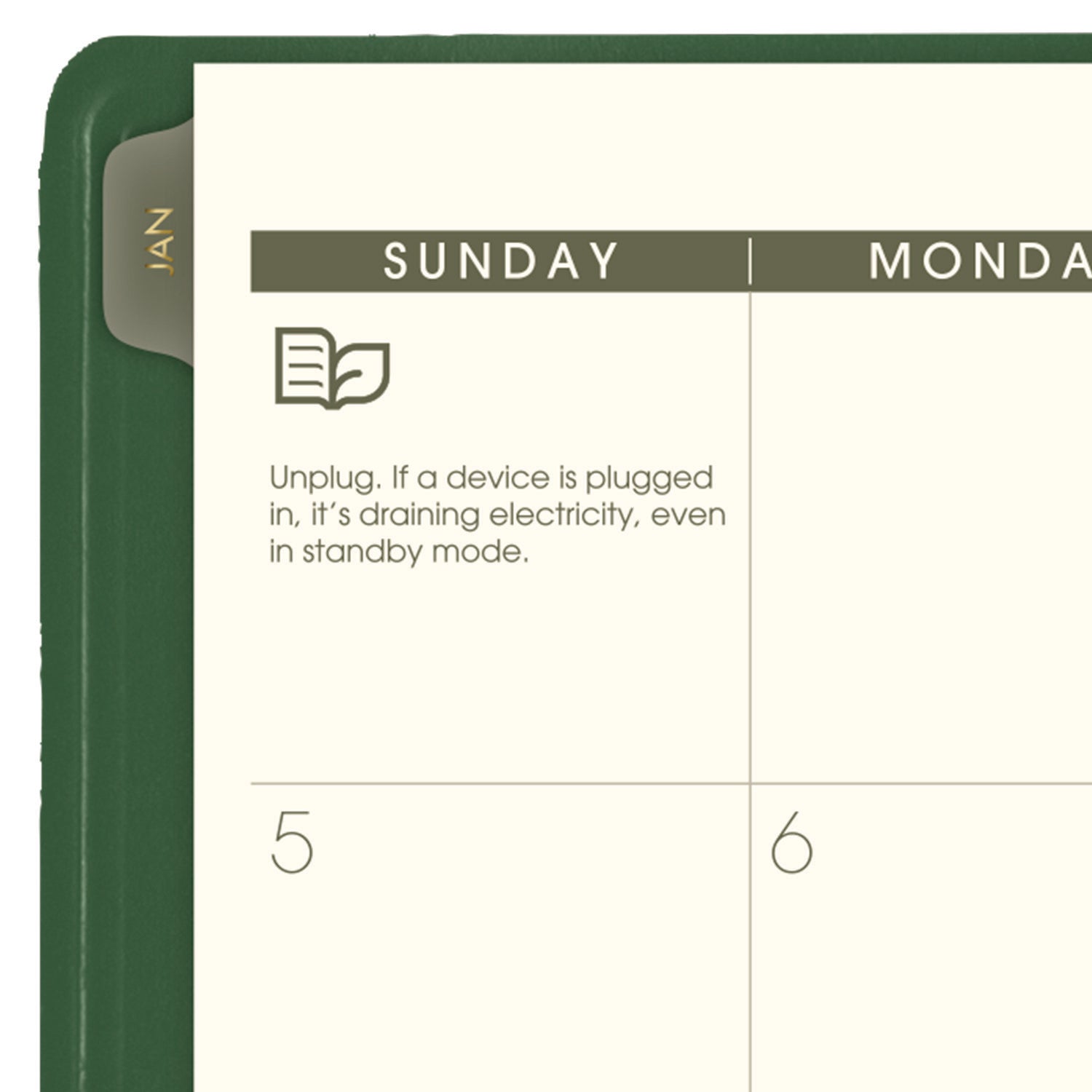 AT-A-GLANCE Recycled Monthly Planner, 11 x 9, Green Cover, 13-Month: Jan 2025 to Jan 2026 (70260G60)