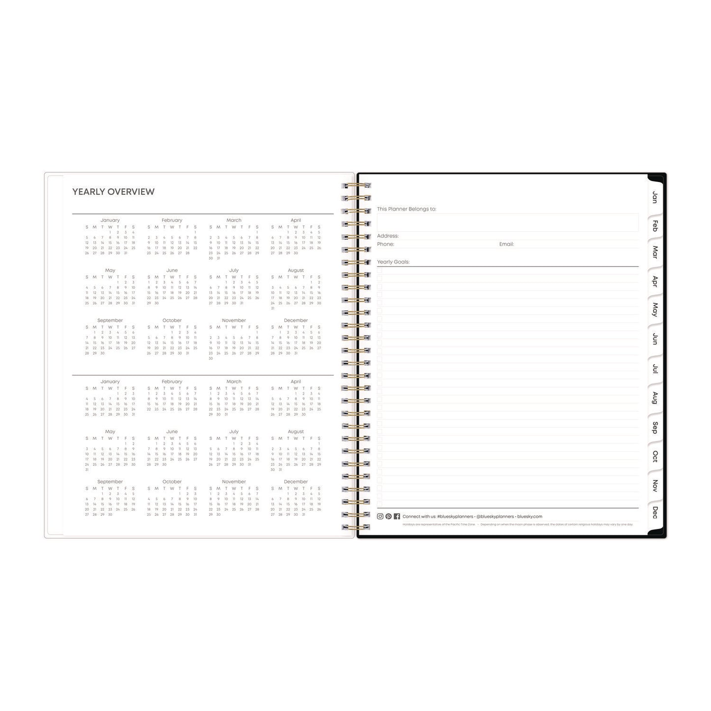 Blue Sky Baccara Dark Monthly Planner, Floral Artwork, 10 x 8, Gray/Black/Gold Cover, 12-Month (Jan to Dec): 2025 (110216)