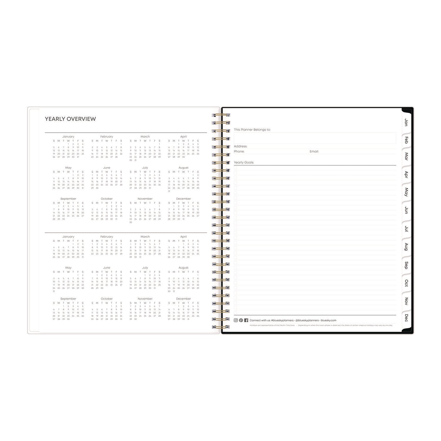 Blue Sky Baccara Dark Monthly Planner, Floral Artwork, 10 x 8, Gray/Black/Gold Cover, 12-Month (Jan to Dec): 2025 (110216)