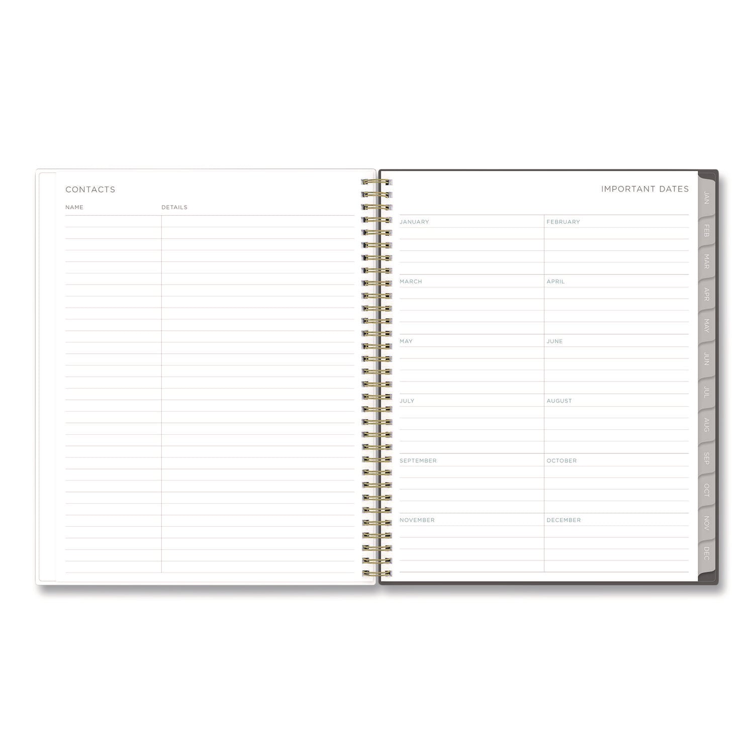 Blue Sky Kelly Ventura Midnight Garden Weekly/Monthly Planner, Floral Artwork, 11 x 8.5, Multicolor Cover, 12-Month (Jan to Dec): 2025 (140944)