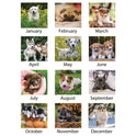 AT-A-GLANCE Puppies Monthly Desk Pad Calendar, Puppies Photography, 22 x 17, White Sheets, Clear Corners, 12-Month (Jan to Dec): 2025 (DMD16632)