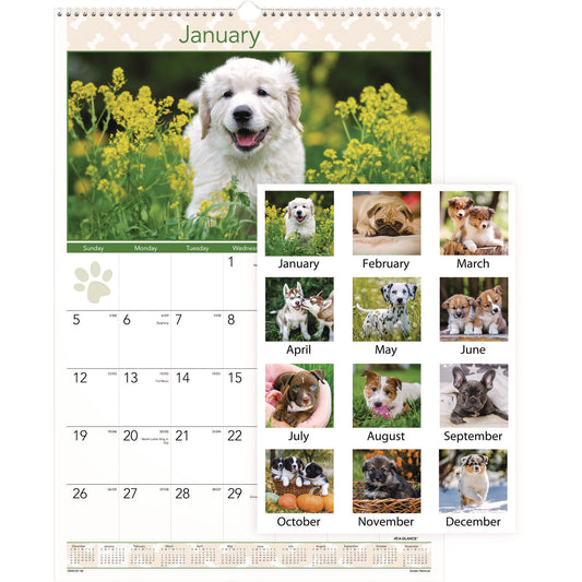 AT-A-GLANCE Puppies Monthly Wall Calendar, Puppies Photography, 15.5 x 22.75, White/Multicolor Sheets, 12-Month (Jan to Dec): 2025 (DMW16728)