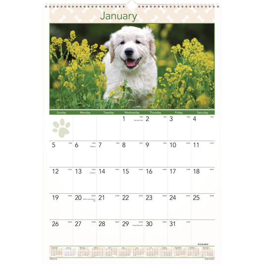 AT-A-GLANCE Puppies Monthly Wall Calendar, Puppies Photography, 15.5 x 22.75, White/Multicolor Sheets, 12-Month (Jan to Dec): 2025 (DMW16728)