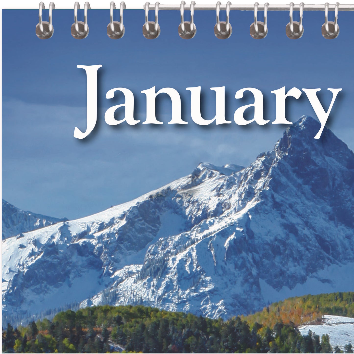 AT-A-GLANCE Scenic Monthly Wall Calendar, Landscape Photography, 12 x 17, White/Multicolor Sheets, 12-Month (Jan to Dec): 2025 (DMW20028)