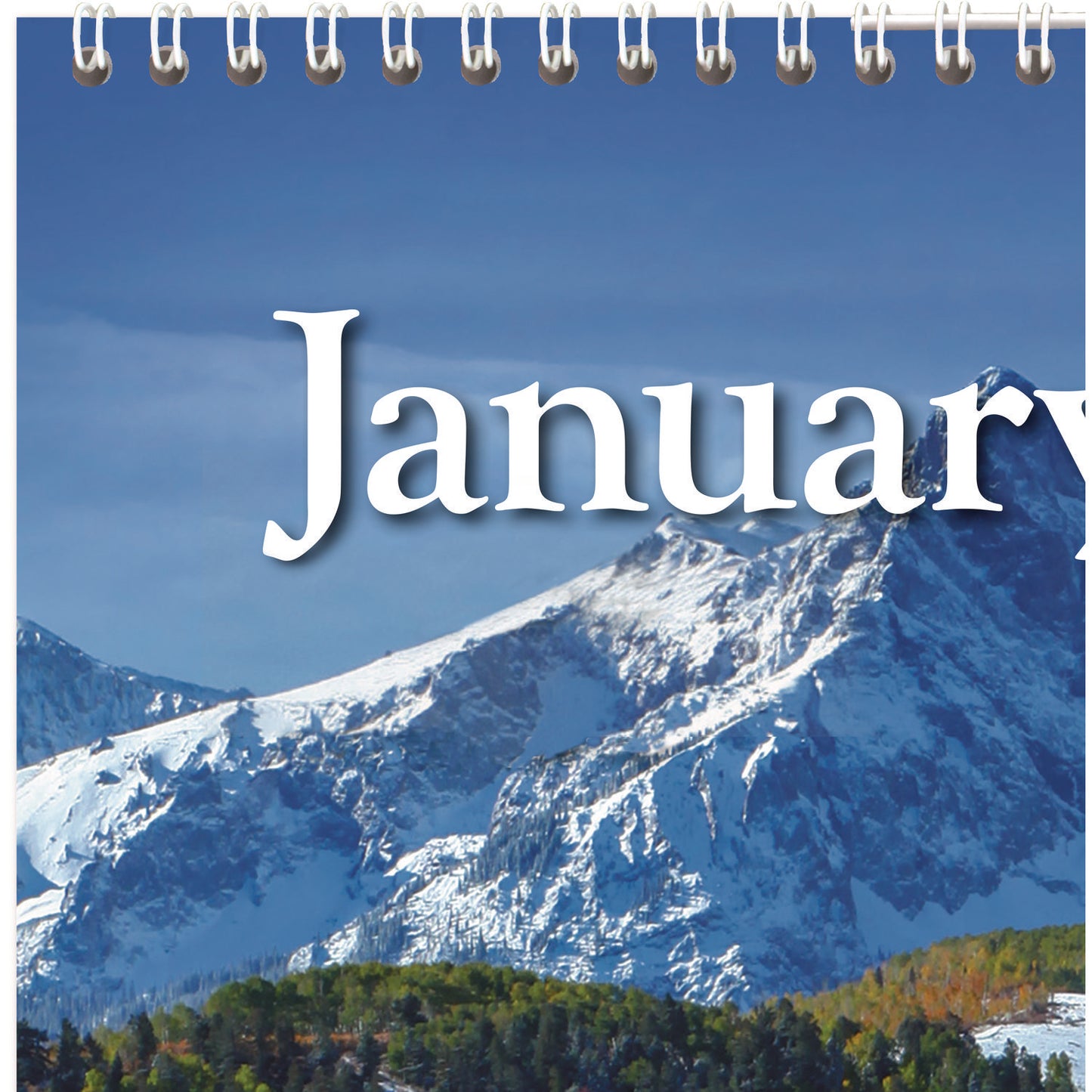 AT-A-GLANCE Scenic Monthly Wall Calendar, Landscape Photography, 15.5 x 22.75, White/Multicolor Sheets, 12-Month (Jan-Dec): 2025 (DMW20128)