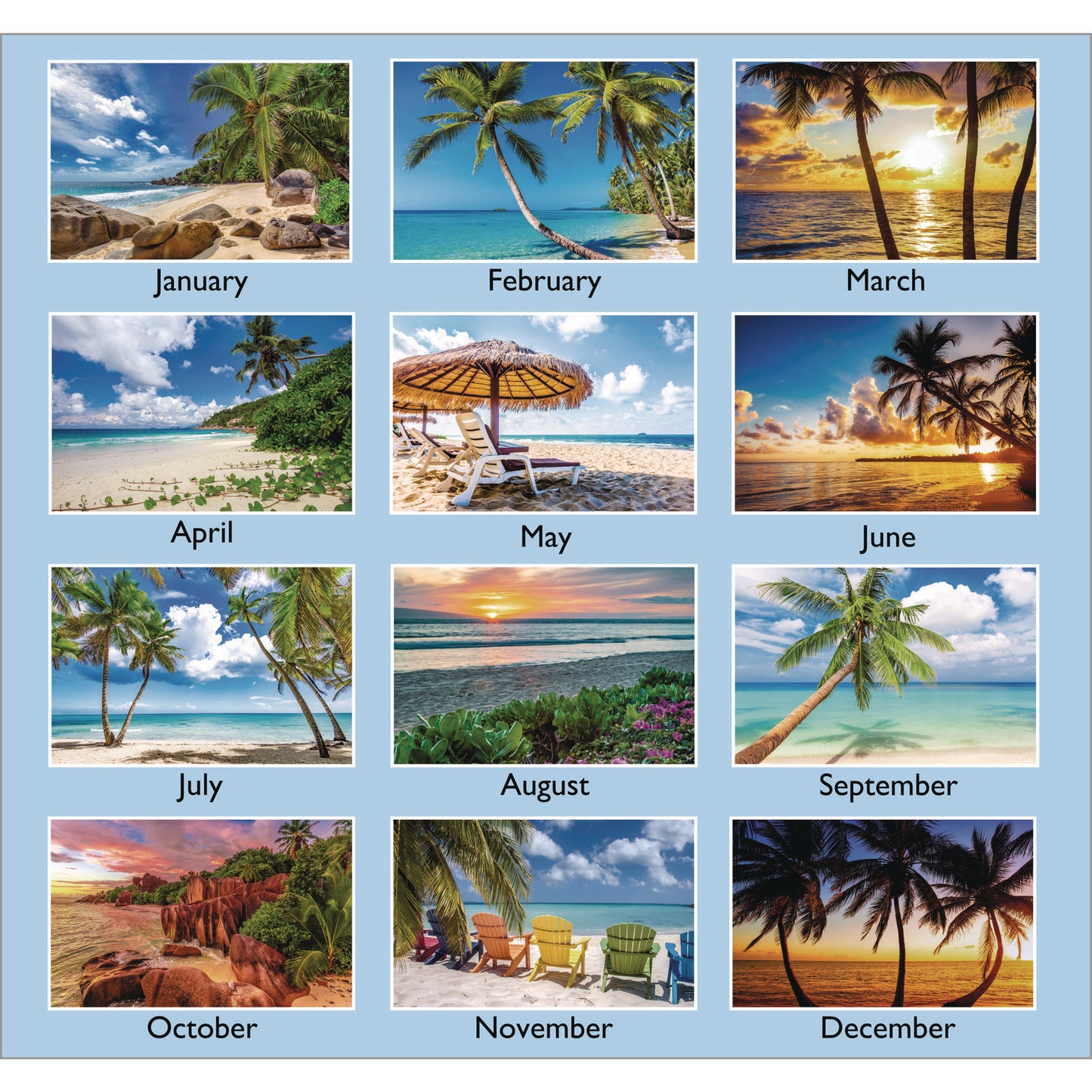 AT-A-GLANCE Tropical Escape Wall Calendar, Tropical Escape Photography, 15 x 12, Pale Blue/Multicolor Sheets, 12-Month (Jan to Dec): 2025 (DMWTE828)