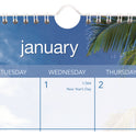 AT-A-GLANCE Tropical Escape Wall Calendar, Tropical Escape Photography, 15 x 12, Pale Blue/Multicolor Sheets, 12-Month (Jan to Dec): 2025 (DMWTE828)
