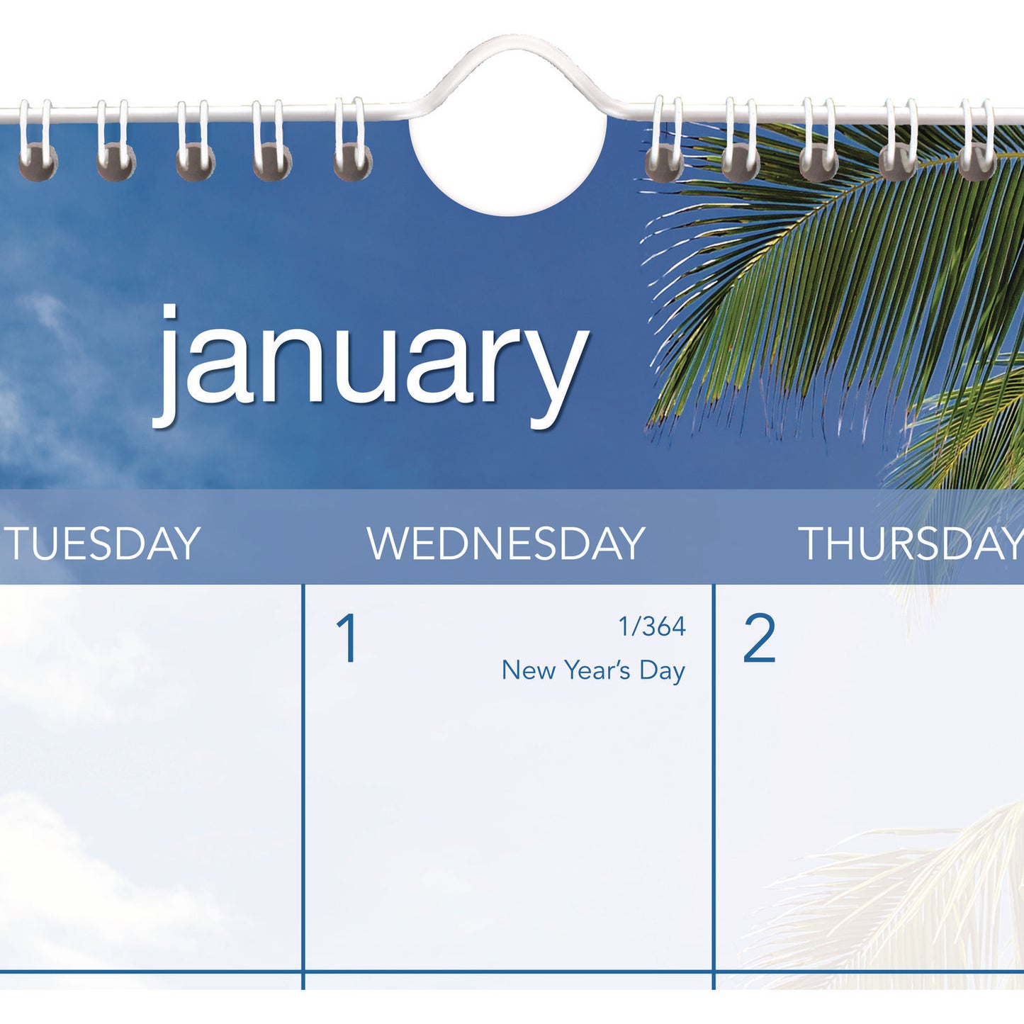 AT-A-GLANCE Tropical Escape Wall Calendar, Tropical Escape Photography, 15 x 12, Pale Blue/Multicolor Sheets, 12-Month (Jan to Dec): 2025 (DMWTE828)